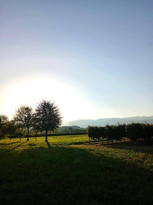דירות Pederobba Relax Nelle Colline Del Prosecco מראה חיצוני תמונה